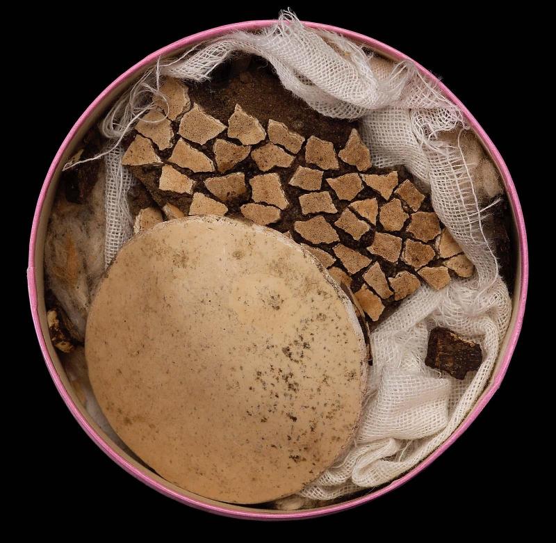 Horn protector fragments