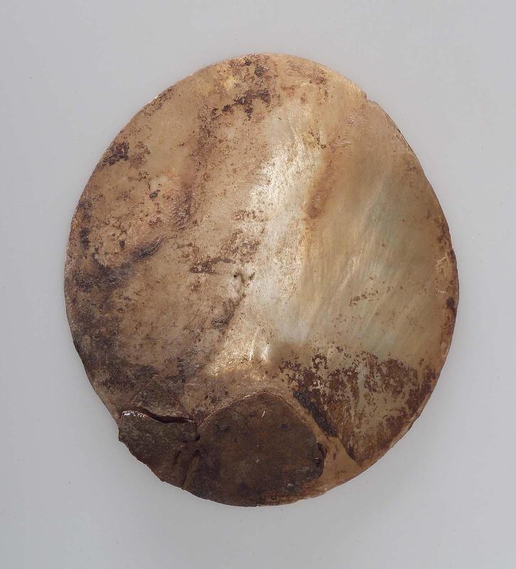 Shell pendant