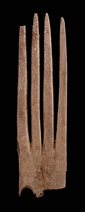 Comb fragment
