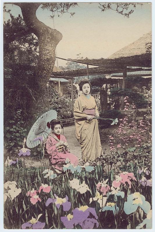 Women in a Iris Garden