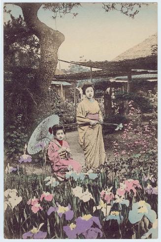Women in a Iris Garden