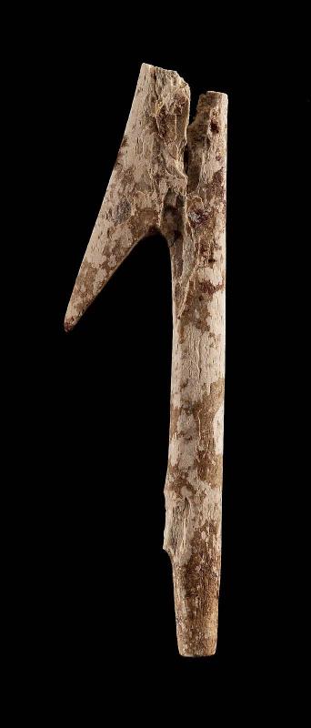 Fragment of harpoon
