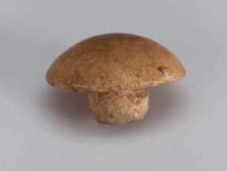 Button cap