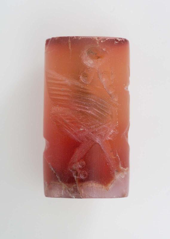 Cylinder seal