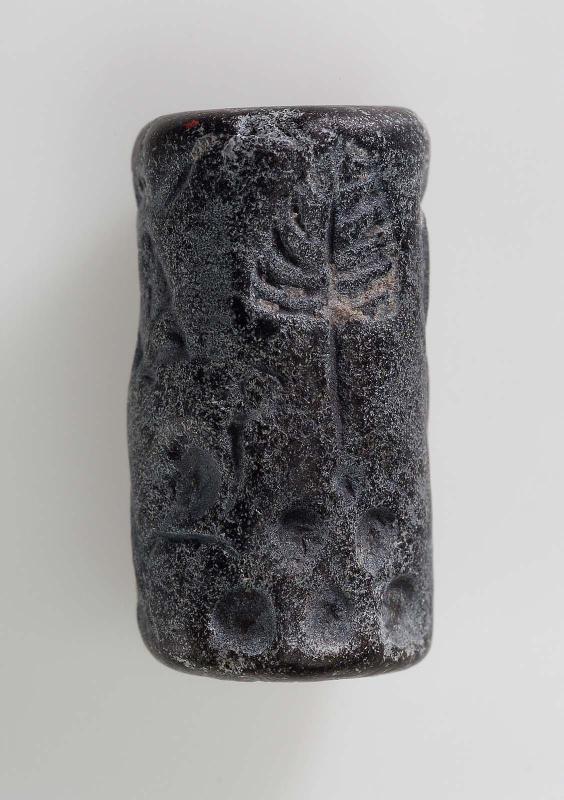 Cylinder seal