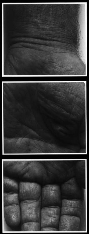 Self Portrait (Hand, 3 panels, vertical)
