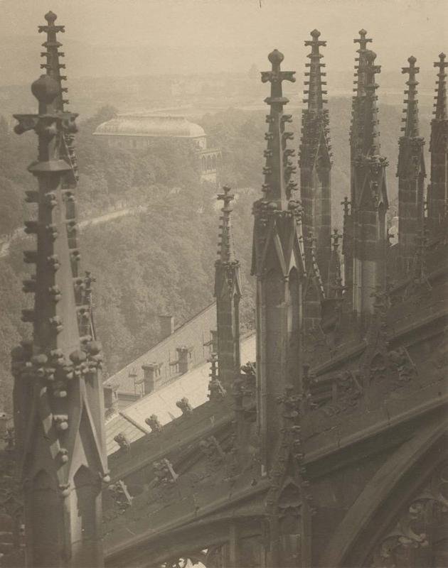 View from above the Pinnacles and Flying Buttresses of the Cathedral of Saint Vitus, north-side from the portfolio Svàty Vit (Saint Vitus)