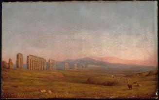 Conservation Status: Before Treatment