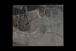 Grey Tension