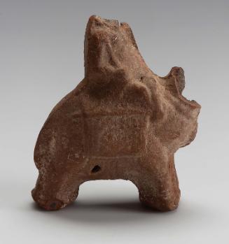Dromedary with rider