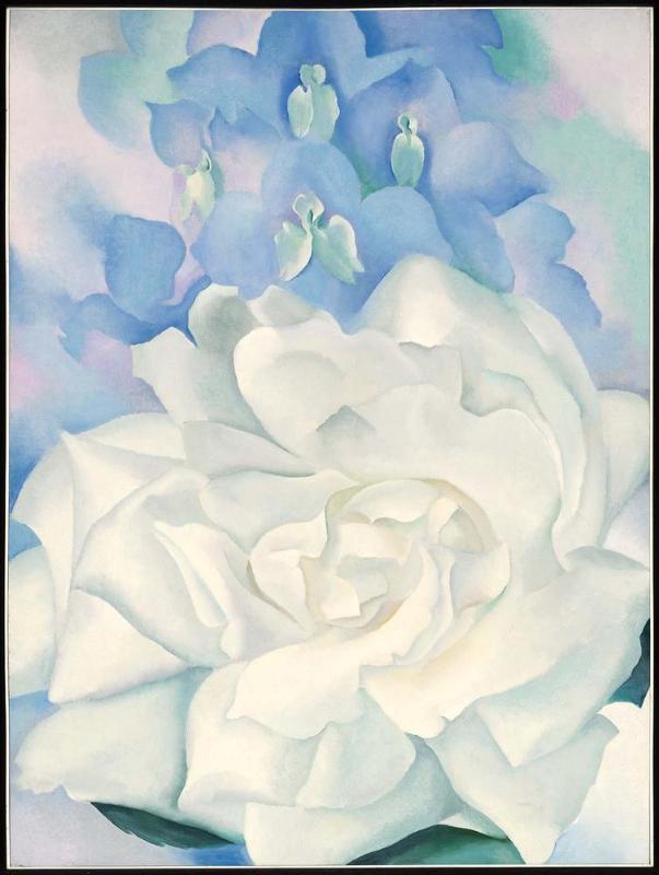 White Rose with Larkspur No. 2