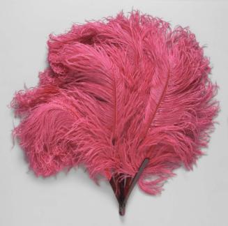 Ostrich feather fan