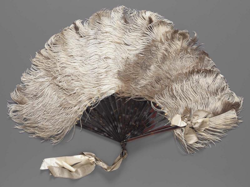 Fan with narrow dark tortoise shell