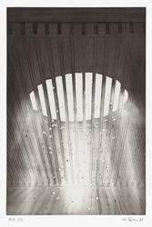 Ten Common (Hawaiian Household) Objects (portfolio case)