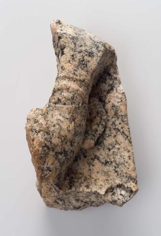 Left side of a head of Amenhotep III