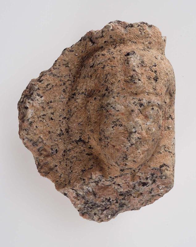Head of a queen