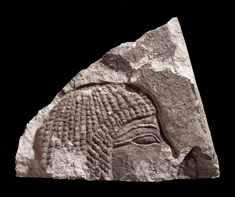 Fragment of wall-decoration