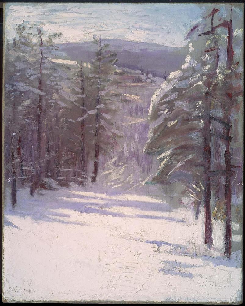 Winter Scene