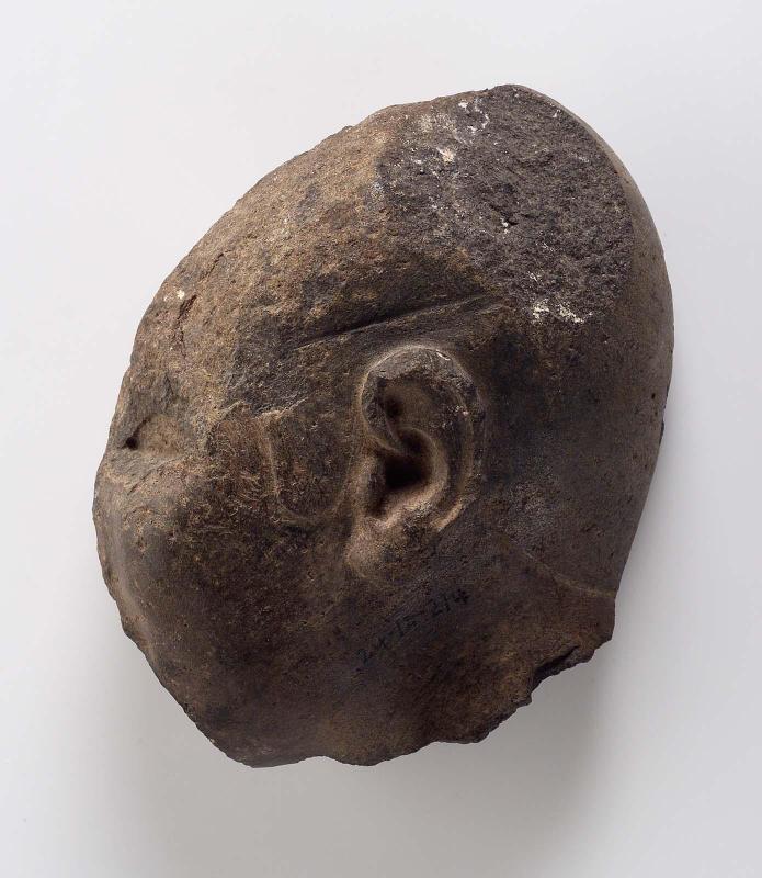 Fragmentary head of man