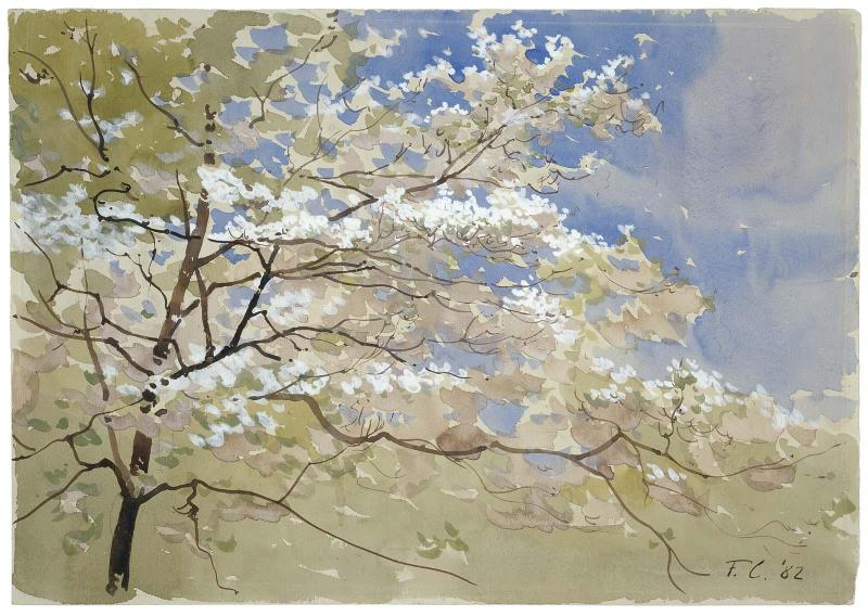 Spring Blossoms
