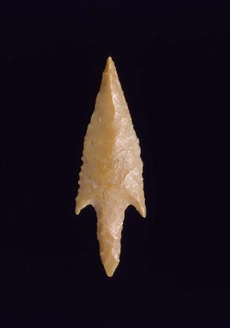Tanged arrowhead