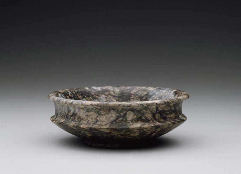 Dish