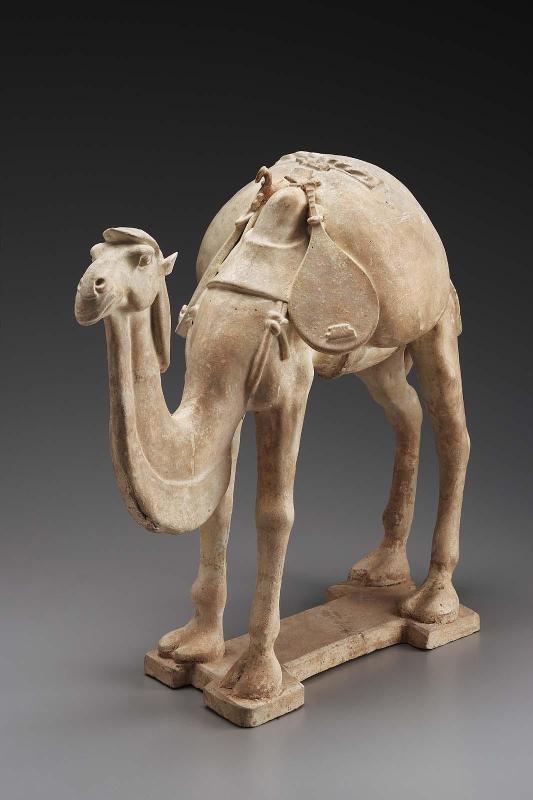 Camel with musical instrument-pipa