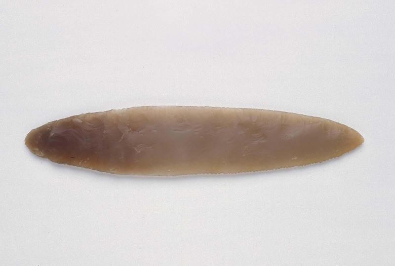 Serrated knife