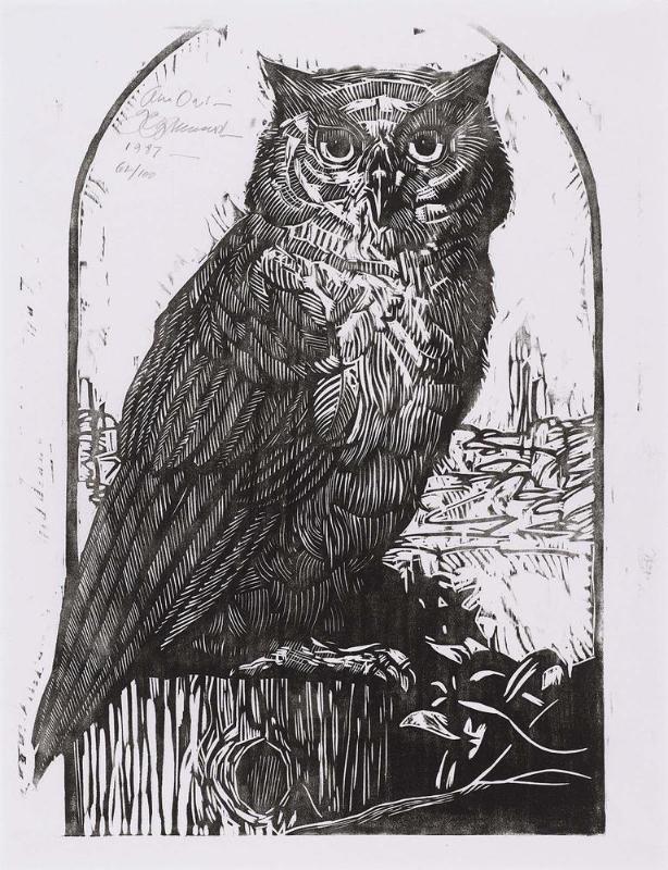 An Owl