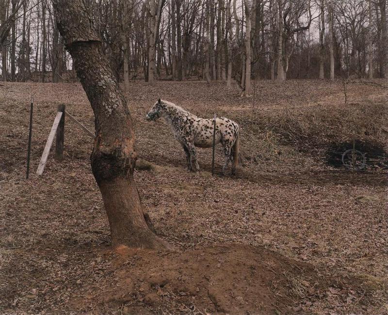 Unicoi County, Tennessee