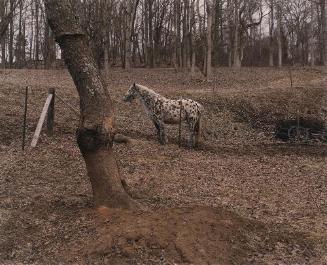 Unicoi County, Tennessee