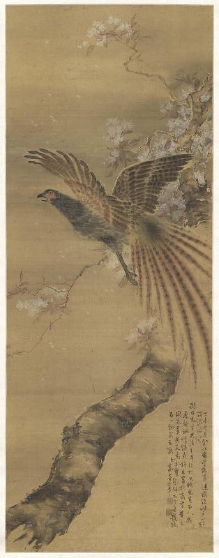 Pheasant and pear blossoms