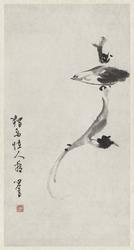 A strange bird: homage to Bada Shanren [1626–1705]