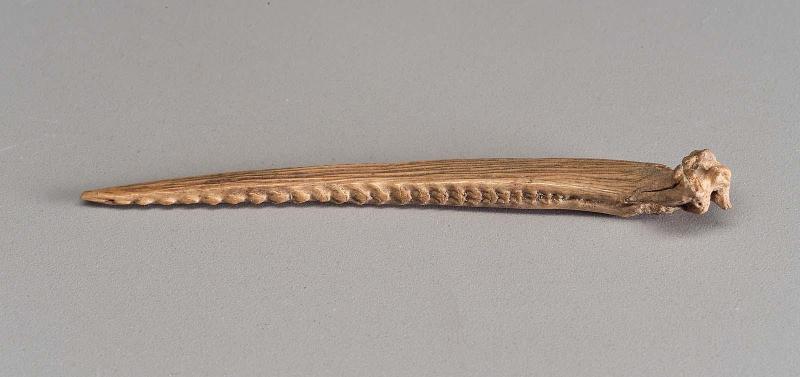 Fish bone