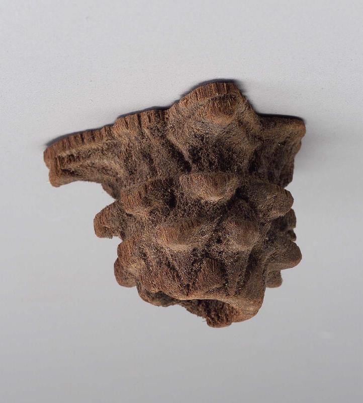 Capital