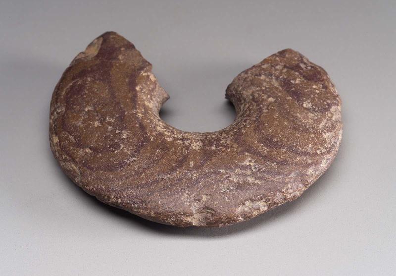 Ring fragment