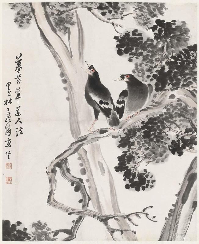 Birds on tree