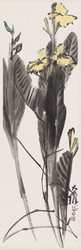 Cannas