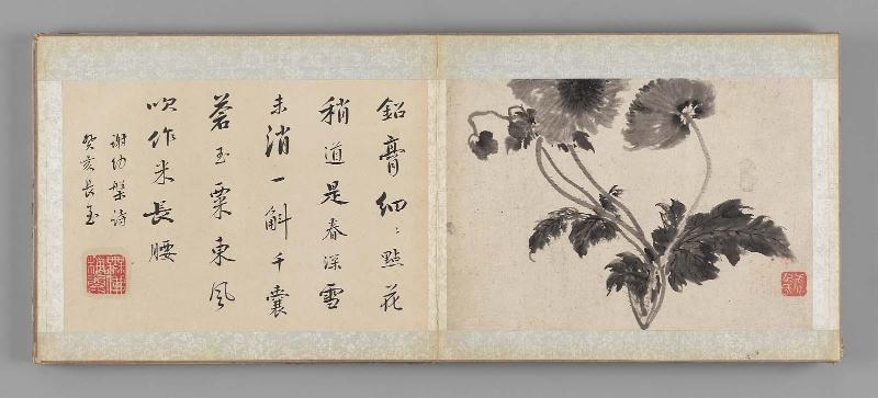 Birds, flowers, and fish