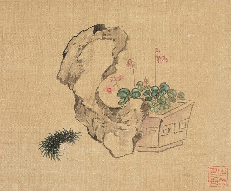 Rocks and flowers