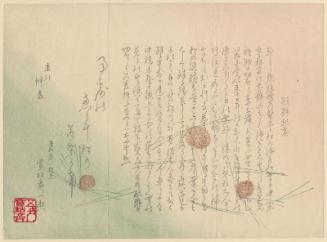 Pinecones and Pine Needles