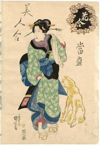 Cherry Blossoms, from the series Contest of Flowers, Contest of Modern Beauties (Hana awase tôsei bijin awase)