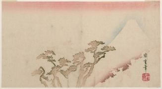 Pine Trees and Mount Fuji