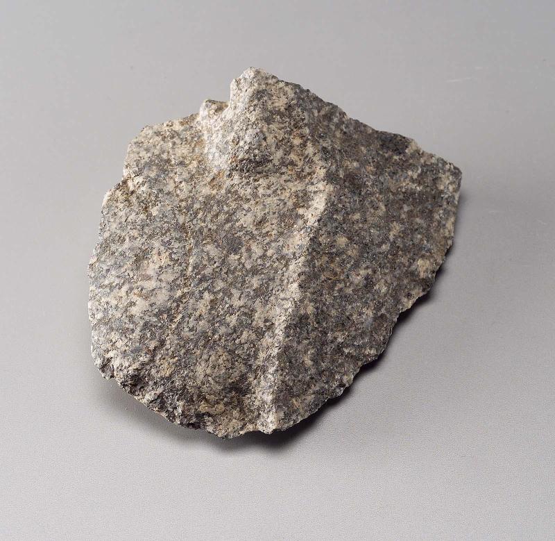 Left cheek and earlobe fragment
