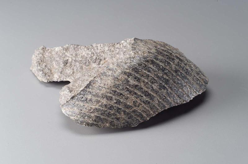 Fragment of wig