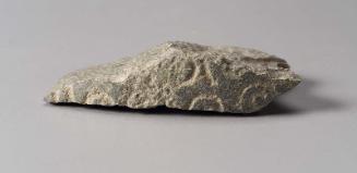 Head or ram fragment