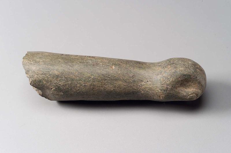 Fragment of arm