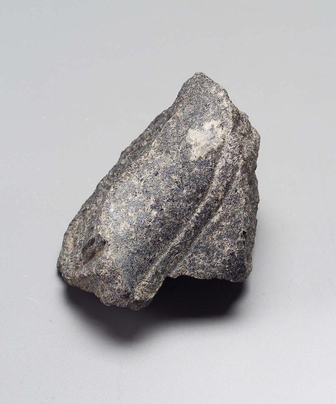 Leg fragment of sphinx (?)