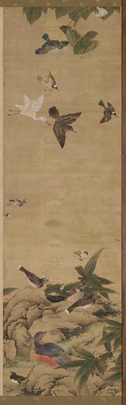 Birds And Flowers