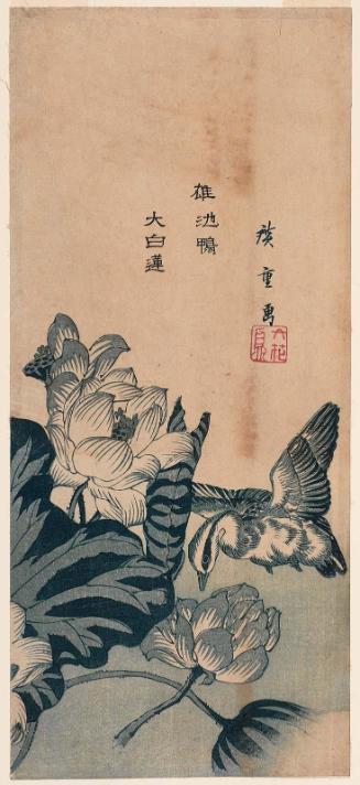 Drake and White Lotus (Osu-ikegamo, daibyakuren), from the series Six Flowers and Birds (Rokkachô)